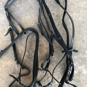 Dressage bridle
